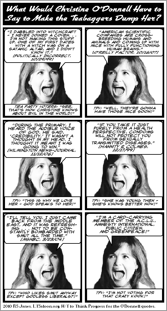 What Would Christine O’Donnell Have to Say to Make the Teabaggers Dump Her?