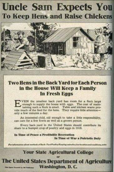 Uncle Sam wants YOU to……