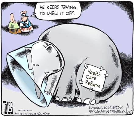 Unable to Go Out on a Limb… SO FAR